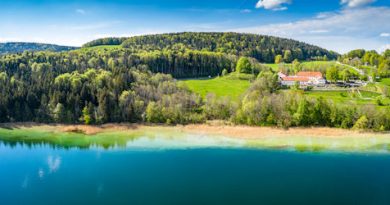 Von der Hand in den Gmund