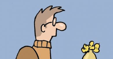 Cartoon der Woche (9)