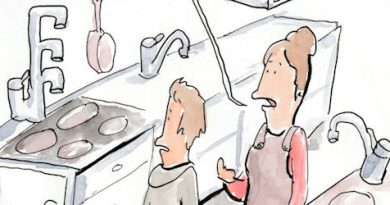 Cartoon der Woche (11)