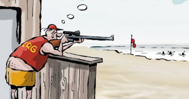 Cartoon der Woche (35)